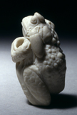 Porcelain Toad