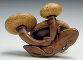 Mushrooms & Salamander: Desert Ironwood, Eye Inlay: Horn