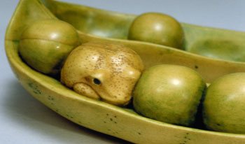Pea Pod Peeper