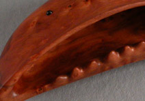 Rattlebush Pod: Boxwood, Horn Inlay