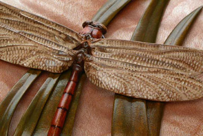 Dragonfly: detail