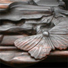 Wood & Moth