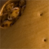 Apple/Lady Bug Box